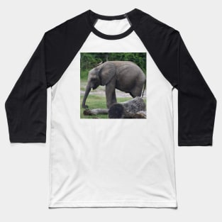 African Elephant Baseball T-Shirt